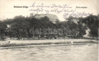 Balatonaliga part részlet