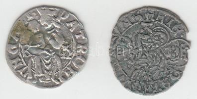 1490-1503. Denár "II. Ulászló" (2x) (0,61g/0,48g) T:2,2- ki. Huszár 803/807.,Unger I.: 638/641