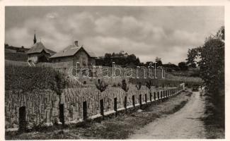 Badacsony Kápolna részlet