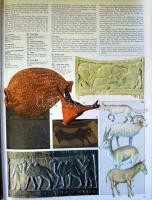 Herders Grossers Bibelatlas, Verlag Herder Freiburg im Breisgau 1989, kiadói egészvászon kötésben, k...