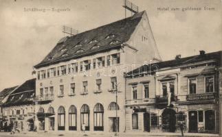 Segesvár Golden Star Hotel, Shop of Friedrich Ipsen