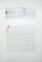 Zágoni Mikes Kelemen törökországi levelei. A magyar kir. kormány támogatásával, II. Rákóczi Ferencz ...