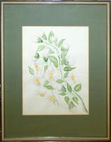 Jelzés nélkül: Virágzó ág, akvarell, papír, üvegezett keretben, 40×50 cm