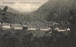 Tomest glass factory, houses for the workers