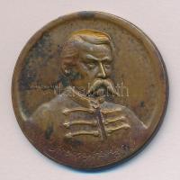 Makovinyi Kálmán / Ludvig BP 1935. "Arany János-Nagykőrös" Br emlékérem (30mm) T:2-