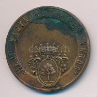 Makovinyi Kálmán / Ludvig BP 1935. "Arany János-Nagykőrös" Br emlékérem (30mm) T:2-