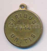 1914. "I.Ferenc József - II.Vilmos császár / Viribus Unitis" aranyozott Br érem (18mm) T:2...