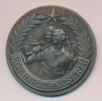 DN "Egy Napot Pécsért" fém emlékplakett (50mm) T:2- ph.