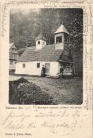 Szelistye Foltea cloister (small tear)