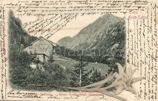 1899 Tátra Hotel with real flower (EK)