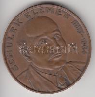 Kiss György (1943-) 1993. "Schulek Elemér / Magyar Gyógyszerészeti Kongresszus" Br emlékérem (42mm) T:2