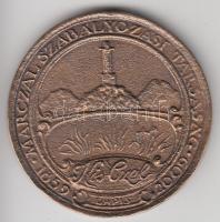 Lapis András (1942-) 2009. "Marczal Szabályozási Társaság / 150 éves a Marczalvölgyi Vízitársulat - Czelldömölk" Br emlékérem (50mm) dísztokban T:2