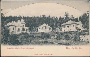 Bártfafürdő Erzsébet street, Divald