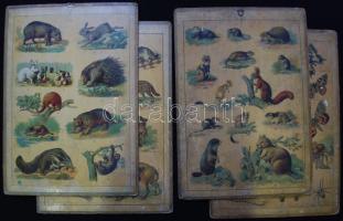cca 1910 Iskolai fali oktatótáblák: Állatok 4 db 24x35 cm