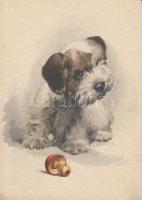 Kutyák, lovak 5 db lap