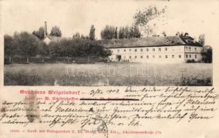 Weigelsdorf (small tear)