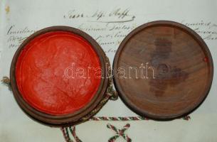 1902 Orvosi diploma "kutyabőrön" 60x50 cm függő viaszpecséttel / Doctor's diploma