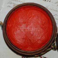 1902 Orvosi diploma "kutyabőrön" 60x50 cm függő viaszpecséttel / Doctor's diploma