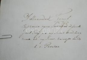 1902 Orvosi diploma "kutyabőrön" 60x50 cm függő viaszpecséttel / Doctor's diploma