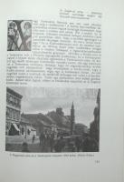 Siklóssy László: Hogyan épült Budapest? (1870-1930). A Fővárosi Közmunkák Tanácsa története. Bp., 19...