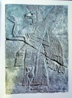 Gerhard R. Meyer - Gerhard Murza: Berlini múzeumsziget Corvina 1985. Szép állapotú képes album 274p