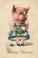 New Year, pig, bizarre (EK)