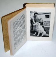 Minikönyv: Hoffer József: Aranylabdások, aranycipősök. Sportpropaganda