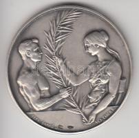 Damkó József (1872-1955) / Exner Károly (1850-1919) ~1910. "Magyarországi Testedző-Egyesületek Szövetsége" Ag emlékérem, nemesfém és "S.GA" jelzéssel (39.5g/45mm) T:2