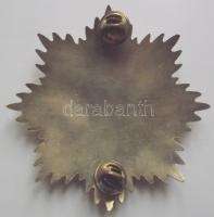 Replika "Árpád 840-907" csillag zománcozott résszel T:2