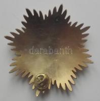 Kitüntetés csillag replika zománcozott résszel T:2