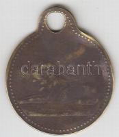 1896. "Fejér Vármegye" 50Kr réz sorszámozott ebvédjegy T:3