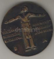 1929. "Sík Sándor" nagyalakú bronzplakett T:2/3