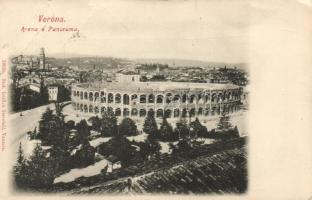 Verona Arena (small tear)