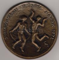 1972. "Ifjúsági napok" nagyalakú bronz plakett Szign:C.M. T:2