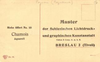 Poznan, Most Chwaliszewski / bridge, advertisment on backside (EB)