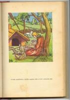 Csengey Gusztáv: A mocsarak királya. Fáy Dezső (1888-1954) rajzaival. Bp., é.n., Révai. Kiadói rajzo...