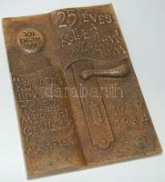 1984. "Makarenko" nagy, szögletes bronz plakett eredeti tokban