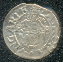 1576K-B. Denár Ag "Miksa" T:2
Huszár 993.,Unger I 767.a)