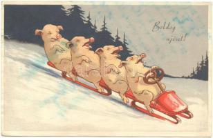 New Year, pigs, bobsled