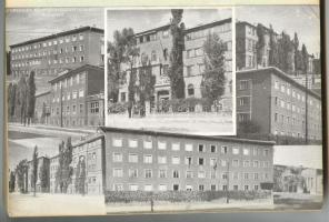 1948 Az Országos Közegészségügyi Intézet működése 1945-1946-1947 években. Közli Dr. Gortvay György. ...