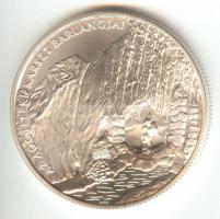 2005. 5000Ft Ag "Aggteleki-karszt barlangjai" T:BU Csak 5000db!