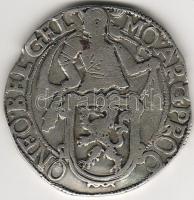 Hollandia/Friesland 1648. "Löwen-Dalder"/tallér ezüst T:4