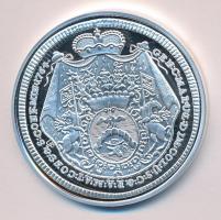 Magyar tallérok utánveretben "Batthyány Károly Tallérja 1764." Ag (0,999) 20g T:PP Csak 20...