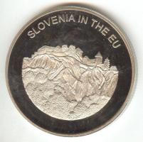 Máltai Lovagrend 2004. 100L "Szlovénia az EU-ban" T:PP  Sovereign Order of Malta 2004. 100 Liras "Slovenia in the EU" C:PP