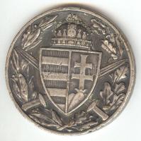 1918. Magyar Háborús Emlékérem kardokkal,sisakkal "Pro Deo et Patria" ezüstözött Br kitünt...