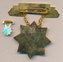 ~1965. "Mezőgazdaság Kiváló Dolgozója" kitüntetés miniatűrrel dísztokban T:1