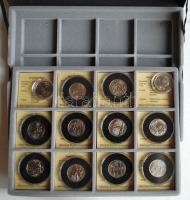 Amerikai Egyesült Államok 1999-2008. 1/4$ (12x) mind klf állam emlékpénze T:1 fekete kivehető tálcás...