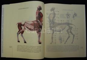 Csányi Vilmos - Makovecz Benjamin: A kentaur természetrajza. Bp., 2000, Helikon. Illusztrált