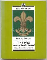 Bakay Kornél: Ragyogj cserkészliliom! Sinkovits Imre bevezetőjével. Bp., 1989, Metrum. Rengeteg fotóval és rajzzal