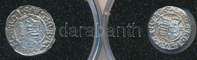 2db különféle Denár egyik II. Mátyás uralkodása idejéből T:2-,3